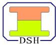 DSH International Mould & Global Parts Machining Co., Ltd.