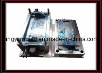 Plastic Injection Mould (LY-896)