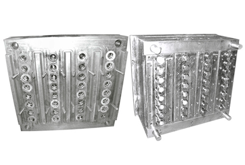 preform moulding preform moulding