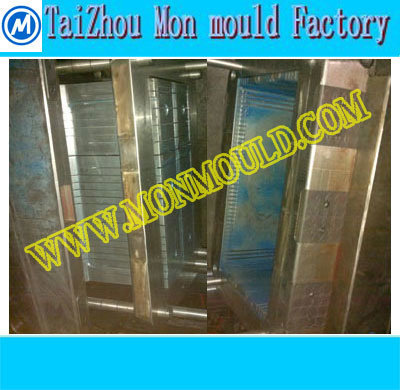 Plastic Injection Battery Container Mould (M-042)
