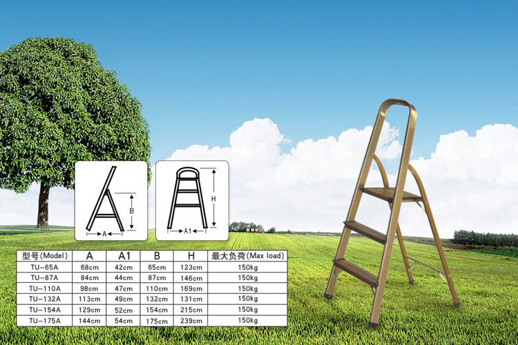 Aluminum Ladder with High Quality