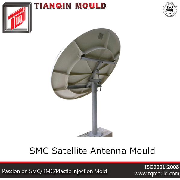 Satellite Dish Mould