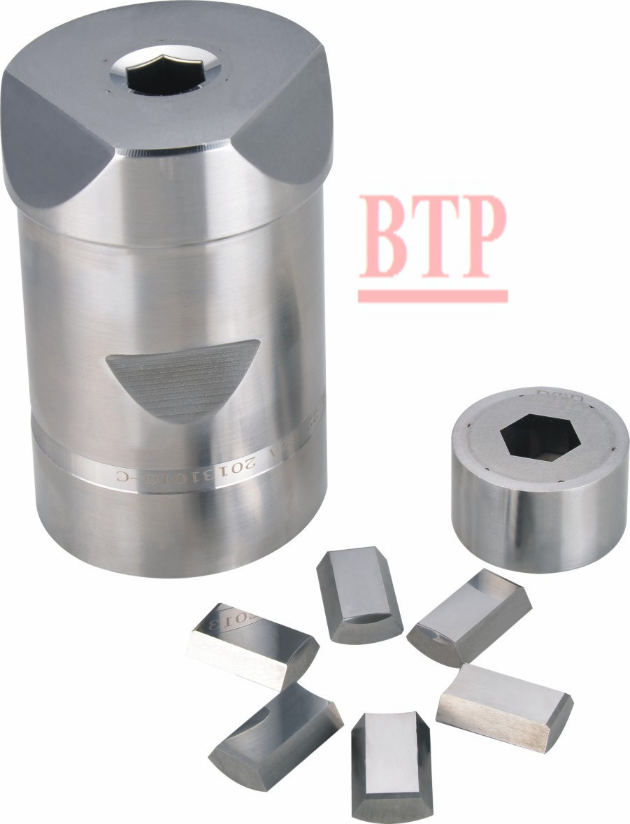 Hot Sale Tungsten Carbide Cold Heading Dies for Bolts (BTP-P009)