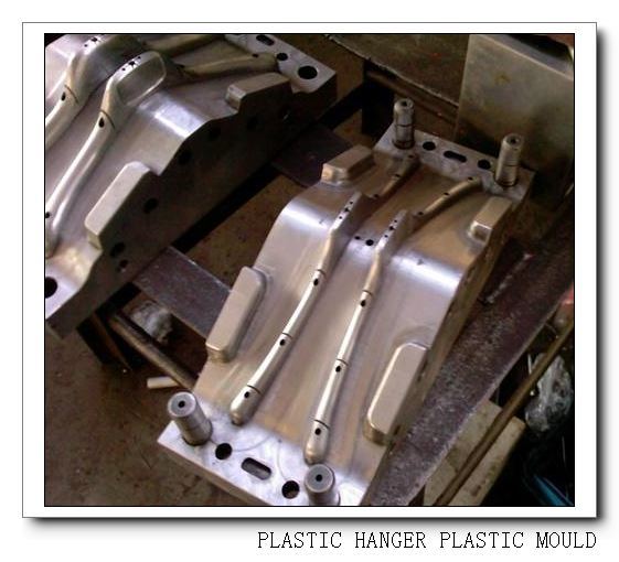 China Professional Plastic Injection Mould for Plastic Hanger (WBM-2010006)