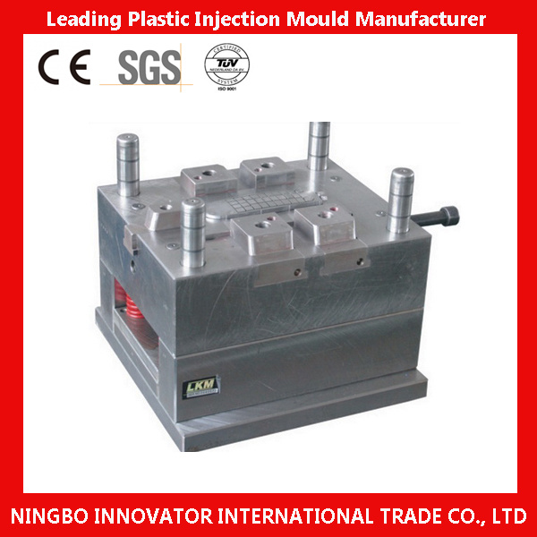 Precision Injection Mould Manufacturer From China (MLIE-PIM122)