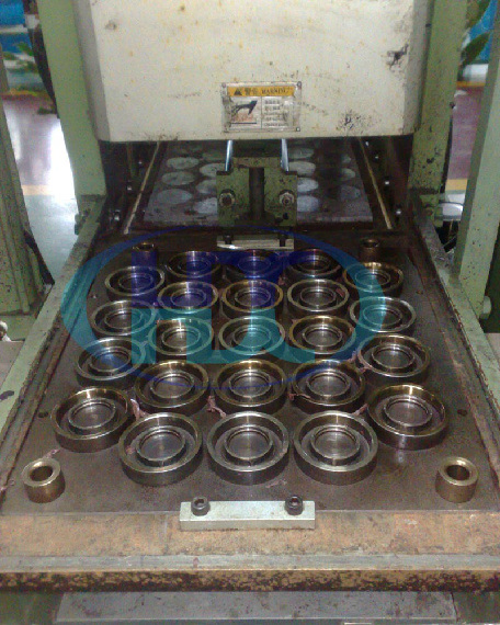 Rubber Mould for Oil Seal Products