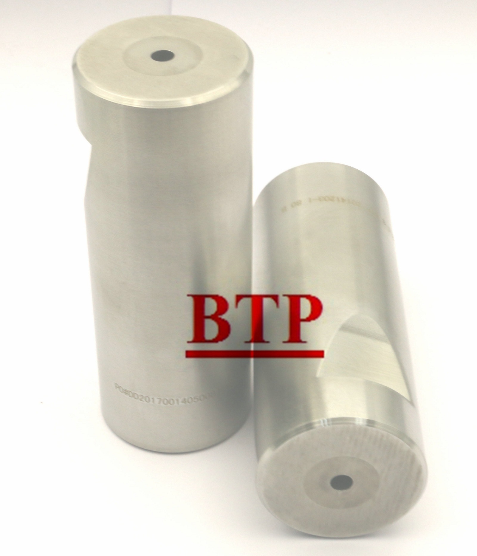 Carbide Tungsten Moulds Cold Haeding Punch Die (BTP-P100)
