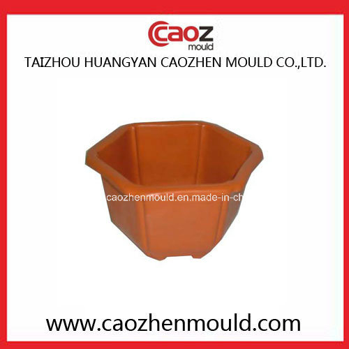 Competitive Price/Plastic Injection Flower Pot Mould