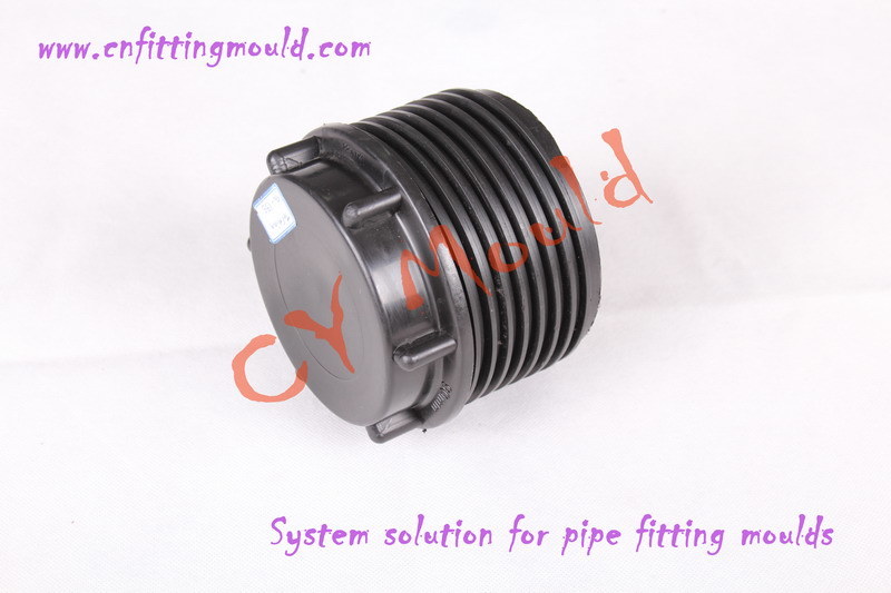 PP End Cap Pipe Fitting Mould