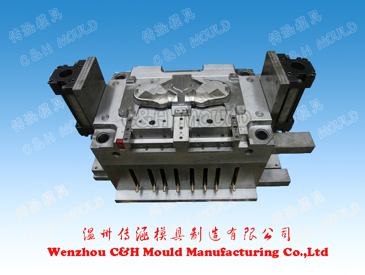 Plastic Mould /Mold with High Grossy Polishing