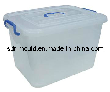 Plastic Injection Locker Box Mold Mould