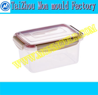 Plastic Food Transparent Box Mould