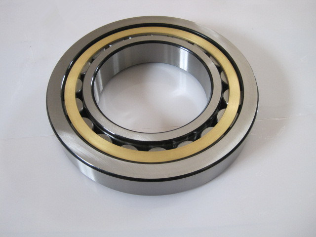 NSK NTN Full Complement Cylindrical Roller Bearing Nj232ecm