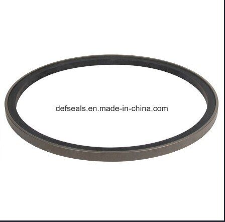 Hydraulic Piston Seal /Mechanical Seals Omks for Presses
