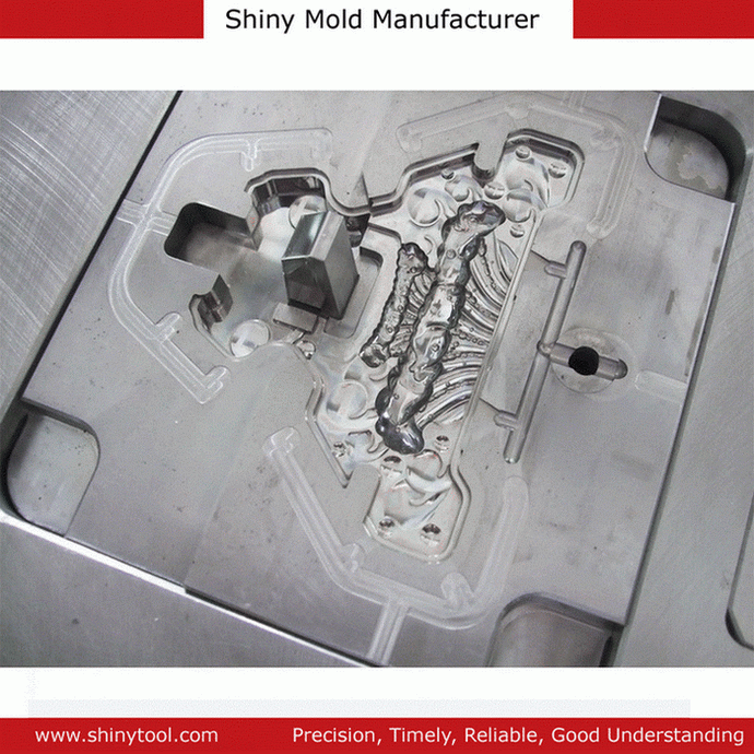 Mirror Plastic Injection Mold (SY-5611)