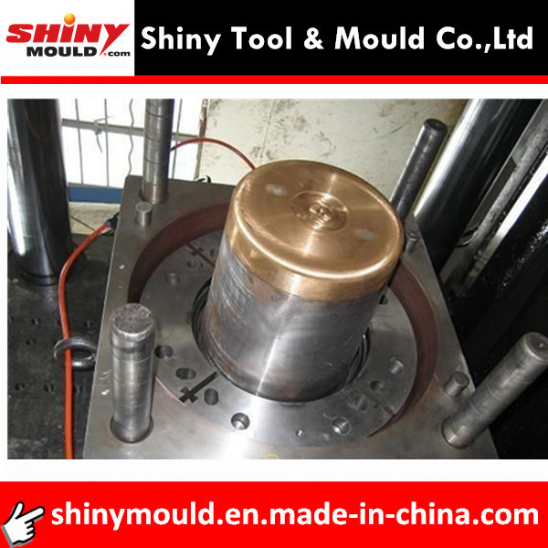 Experienced Plastic Mould Factory Household Plastic Bucket Mould Huangyan China