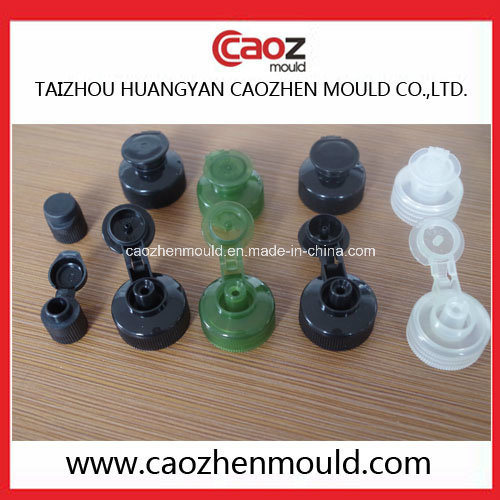Plastic Injection Flap/Clamshell Cap Mould