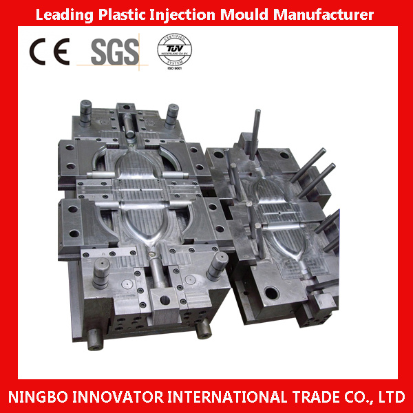 Professinal Plastic Injection Mould From China