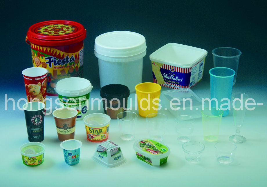 Ice Cream Box Mould /Thin Wall Container Mold (HS0027)