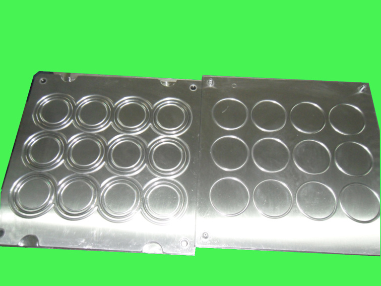 O-Ring Mould