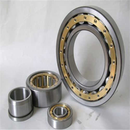 OEM Short Long and Large Cylindrical Roller Bearing