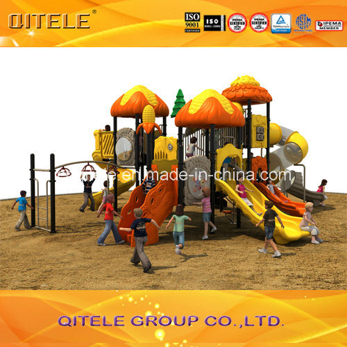 Outdoor Kids Playground Equipment for Amusement Park (2015HL-03501)