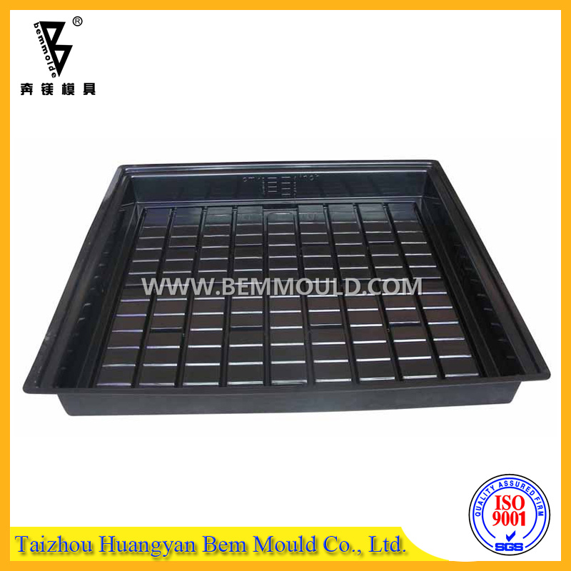 Plastic Tray Injection Mold/Mould (J400145)