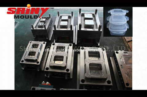 51g Plastic Injection Box Container Mould
