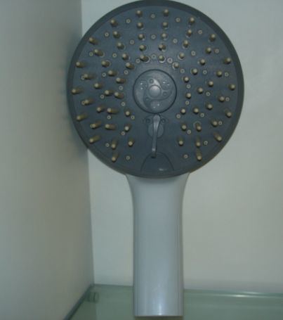 Mould of Hand Showers