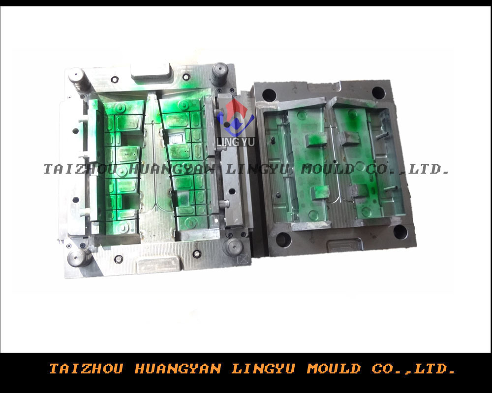 Plastic Mould for Motorcycle Part (LY-6047)