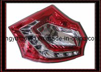 Plastic Car Taillight Injection Moulding (LY-916)