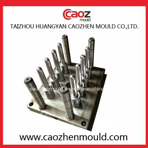 Hot Selling Plastic Injection Preform Mould in Huangyan