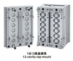 12 Cavity Preform Mould