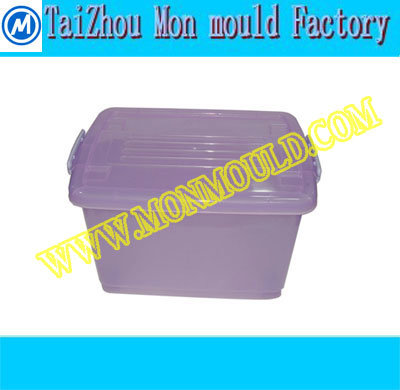 Plastic Injection Household Sweater Container Box Mould (M-028)