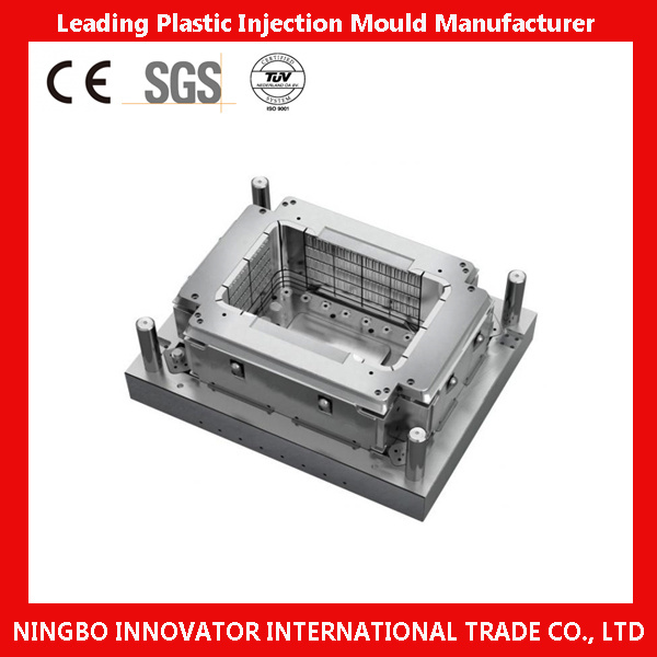 OEM Plastic Injection Mould for Precision Parts (MLIE-PIM109)