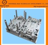 High Quality Plastic Precision Injection Mould in China