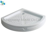 SMC Mould for Tray
