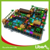 Fantastic Design Big Indoor Plastic Playground for Kindergarten Kids