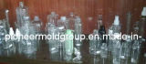 Blowing Mold/Mould (PM198)
