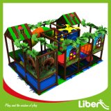 2015 New Jungle Themed Indoor Playground for Daycare