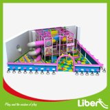Girl's Dream Land Pink Colored Indoor Playground for Daycare