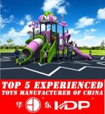 Cartoon Style Outdoor Playground Toy (HD14-009A)