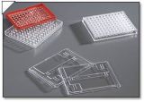 Plastic Injection Mouls (ISO9001(TUV))