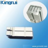 Dongguan Kingrui Precision Mould Co., Ltd.