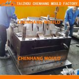 Professional Auto Part Injection Mould Manufacturer in China