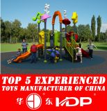 Multifunctional Outdoor Playground (HD15A-050C)