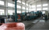 LHD Series Copper Wire Drawing Machine (LHD-450/9)