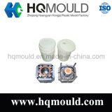 Painting Bucket Mold/Plastic Injection Mould