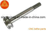 CNC Machining Machined Rivets Screw Bolt Parts (SX142)