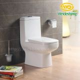 423 Soomth Surface One Piece Washdown Ceramic Toilet Molds